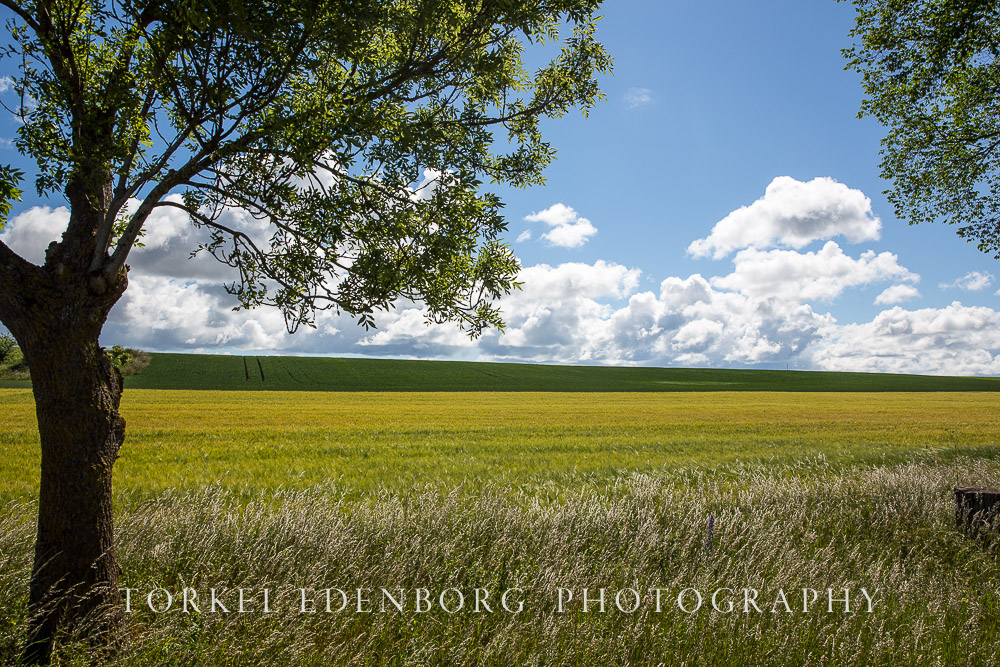 Öland