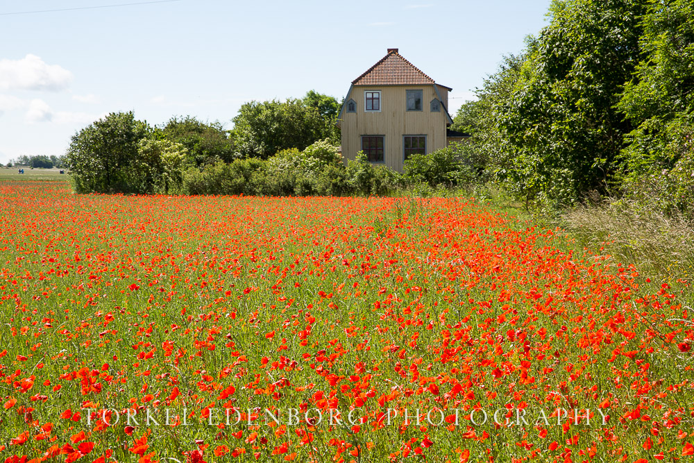 Öland